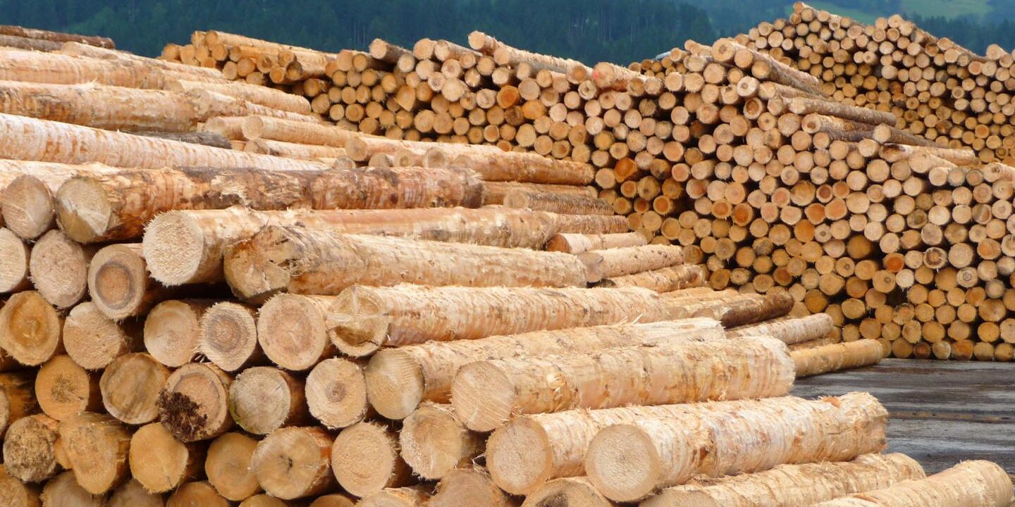 construções em estruturas de madeira douglas fir